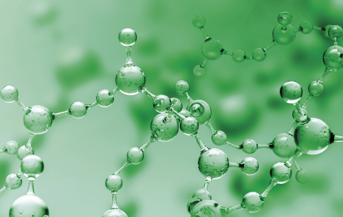 Advanced Sealing Solutions for Hydrogen and CO2 Applications